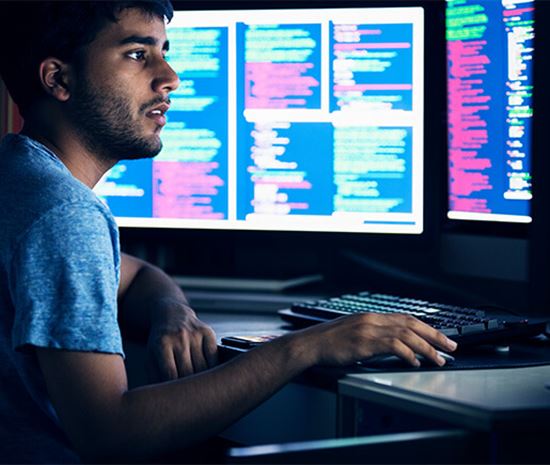 Bachelor of Information Technology careers