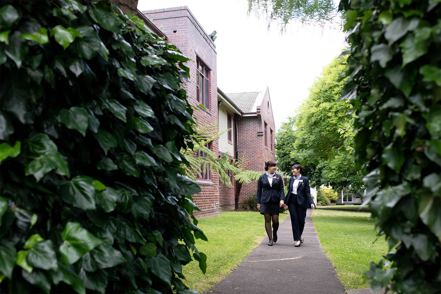 Leura | Torrens University