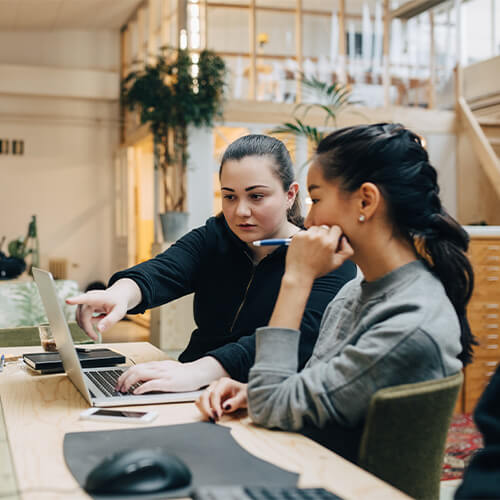 Higher Degrees by Research courses and degrees
