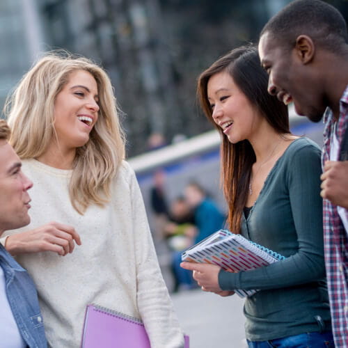 University courses and degrees
